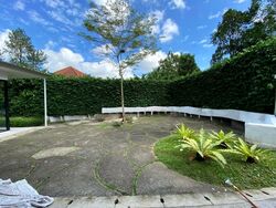Morley Road (D10), Detached #550577621